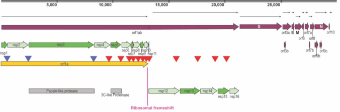 Fig. 1