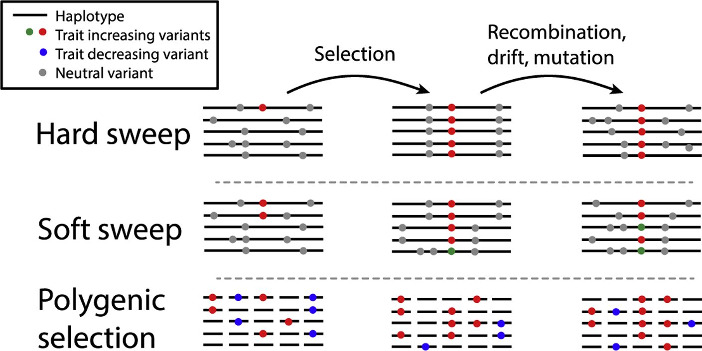 Figure 1: