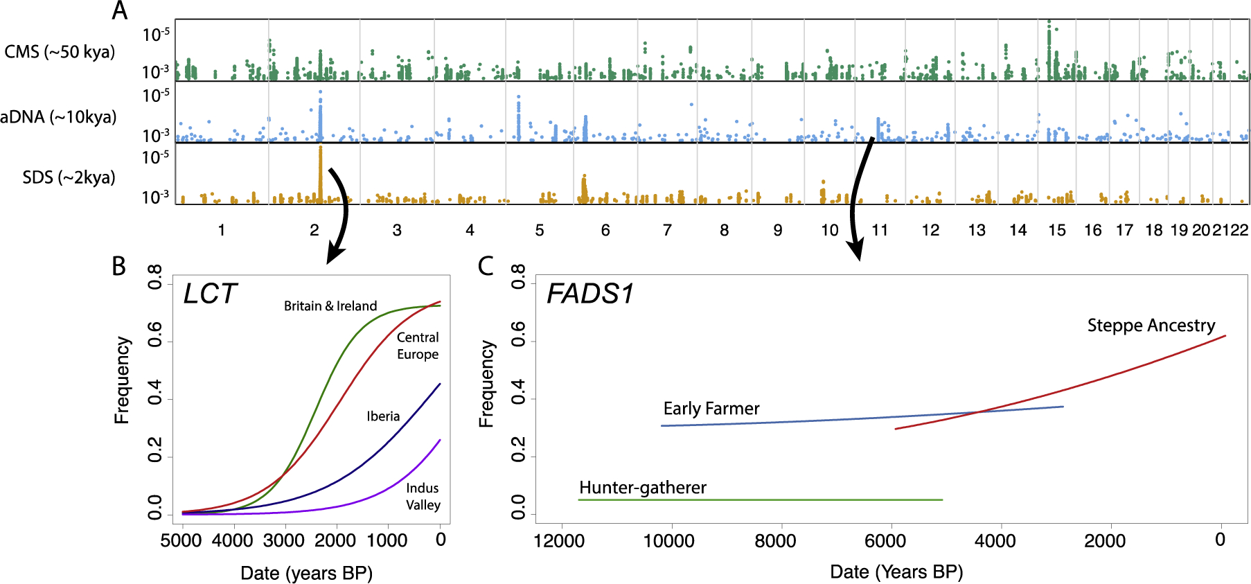 Figure 2: