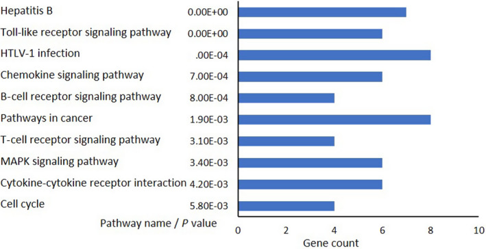 FIGURE 6