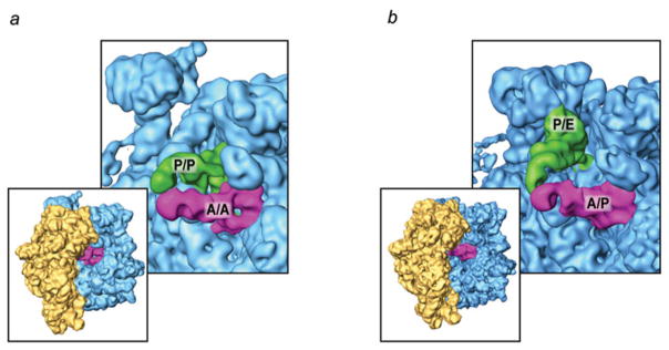 Fig. 10