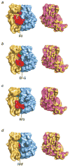 Fig. 12