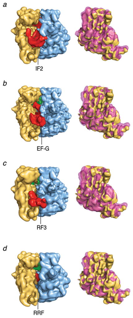 Fig. 12