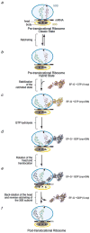 Fig. 23