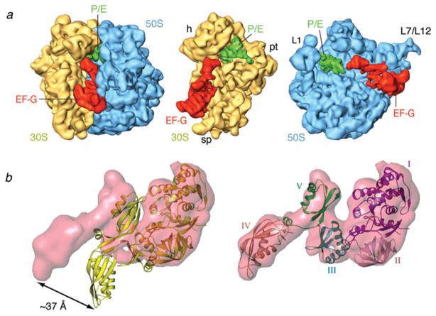 Fig. 16