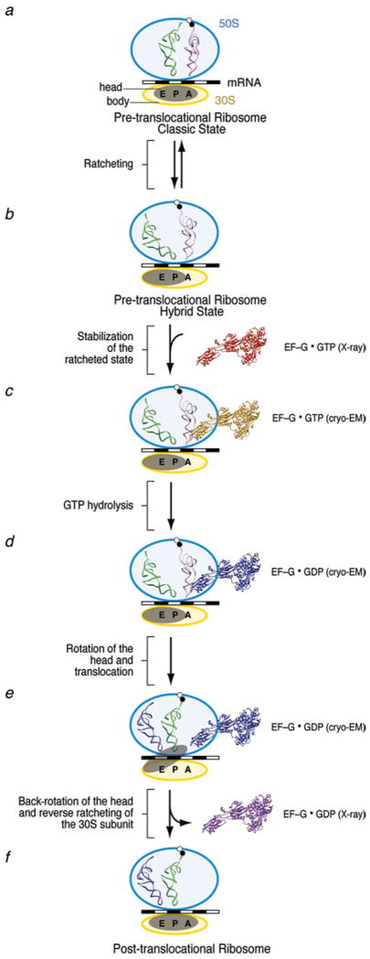 Fig. 23