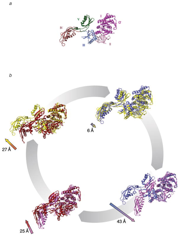 Fig. 19