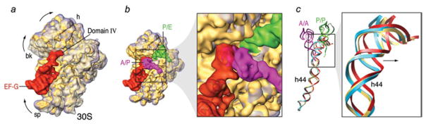 Fig. 20