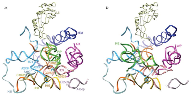 Fig. 11