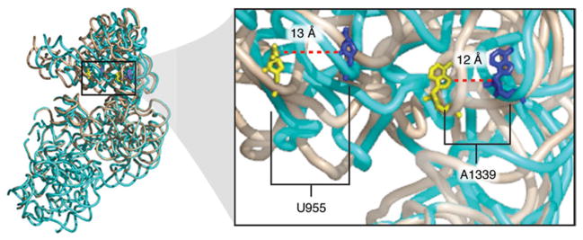 Fig. 21