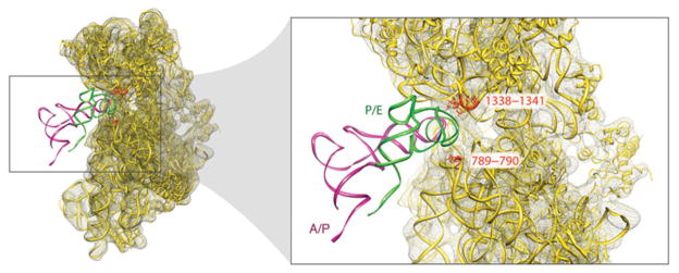 Fig. 22