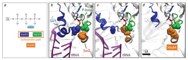 Fig. 8