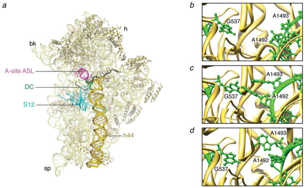 Fig. 4