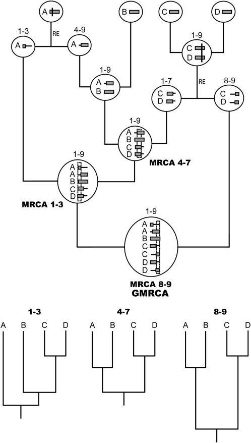 Figure 1.—