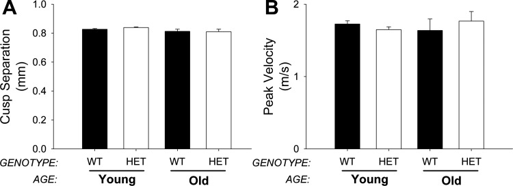 Fig. 9.