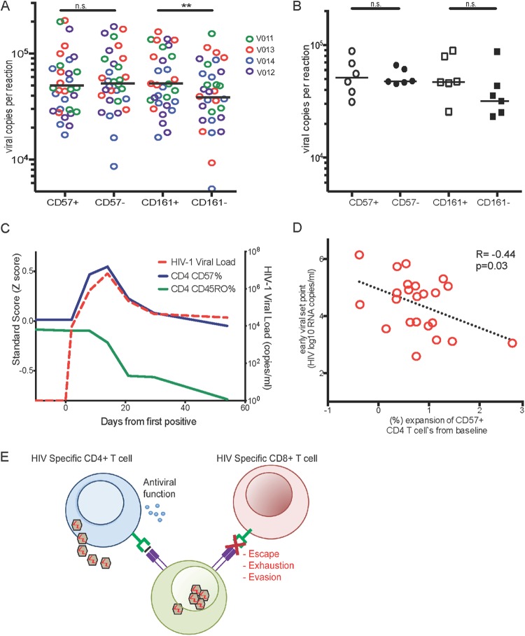 FIG 6