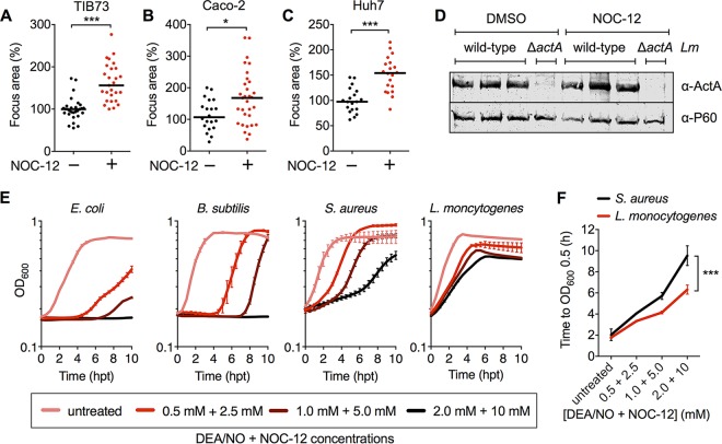 FIG 6 