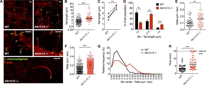 FIG 3 