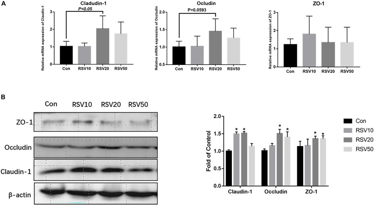 FIGURE 3