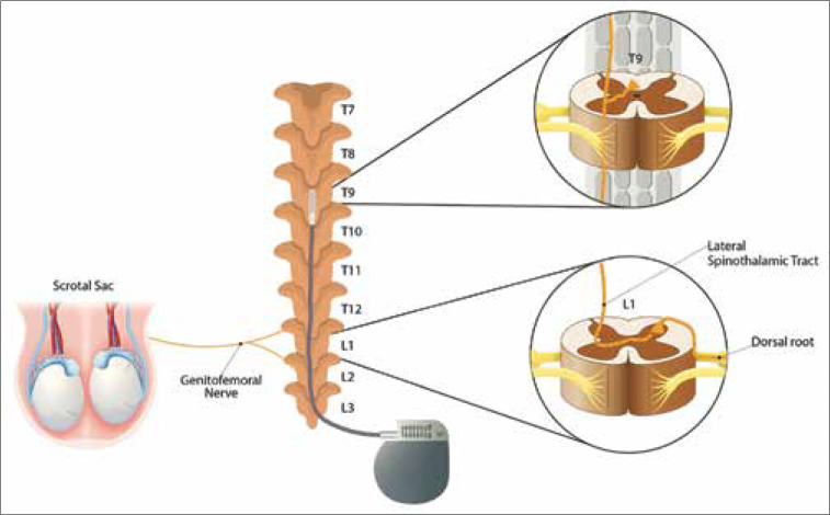 Figure 2: