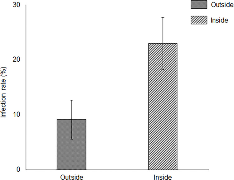 Fig 6