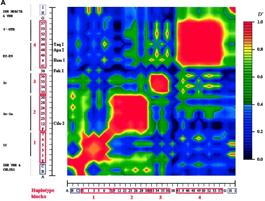 Figure  4