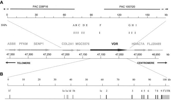 Figure  1