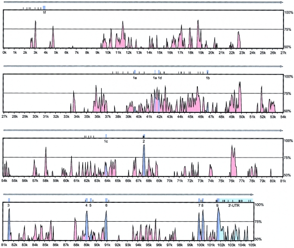 Figure  2