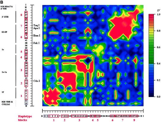 Figure  4