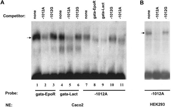 Figure  6