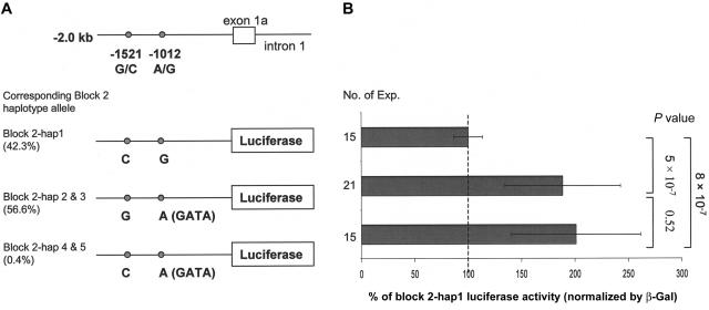 Figure  7