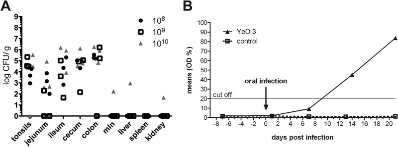 FIG 1