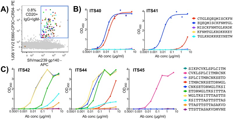 Fig 10