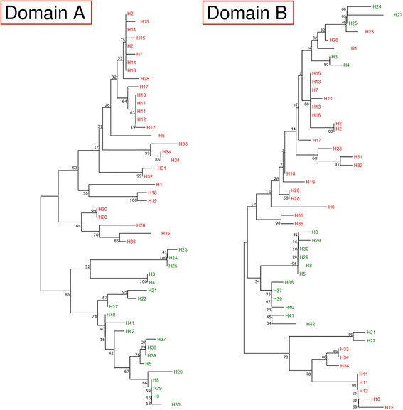 Fig. 6