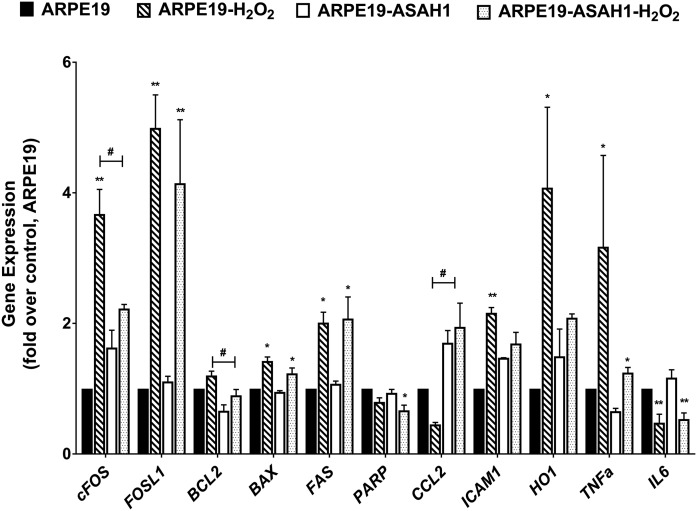 Fig. 8.