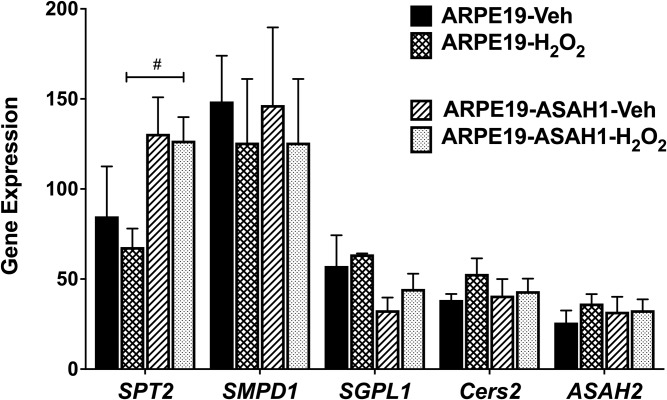 Fig. 7.