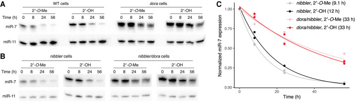 FIGURE 4.