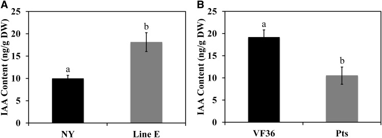 Figure 7.