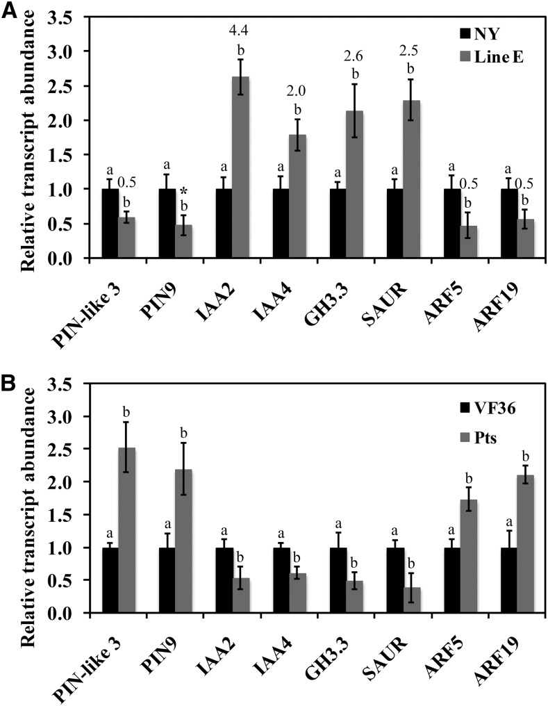 Figure 6.