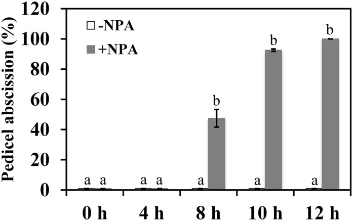 Figure 9.