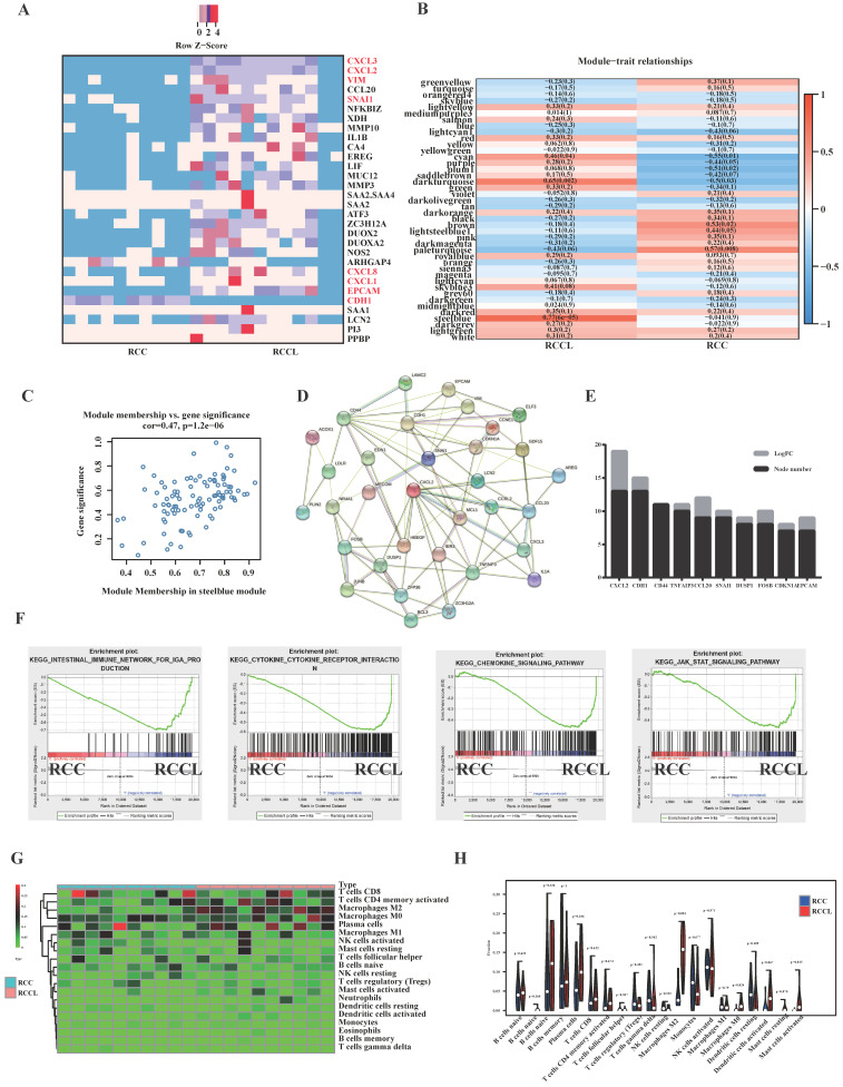 SNAIL Induces EMT and Lung Metastasis of Tumours Secreting CXCL2 to ...