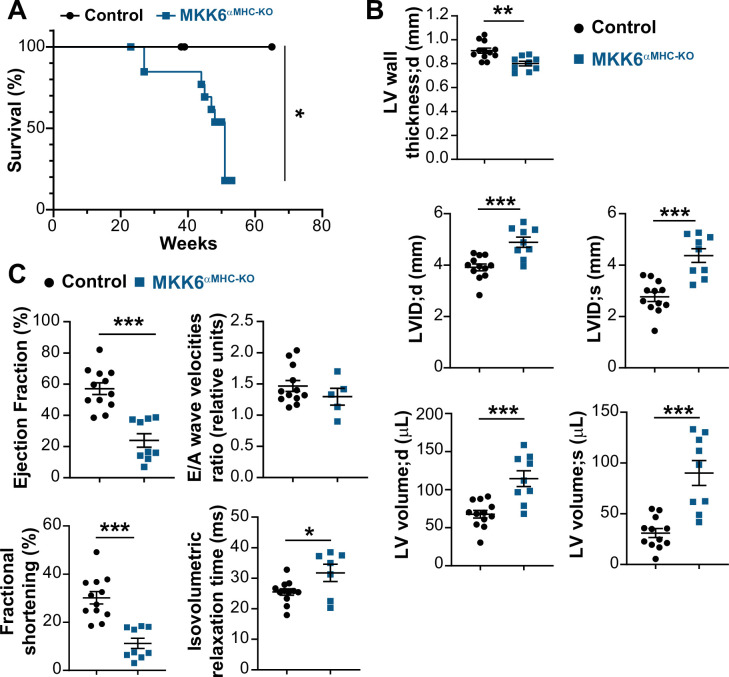 Figure 4—figure supplement 2.