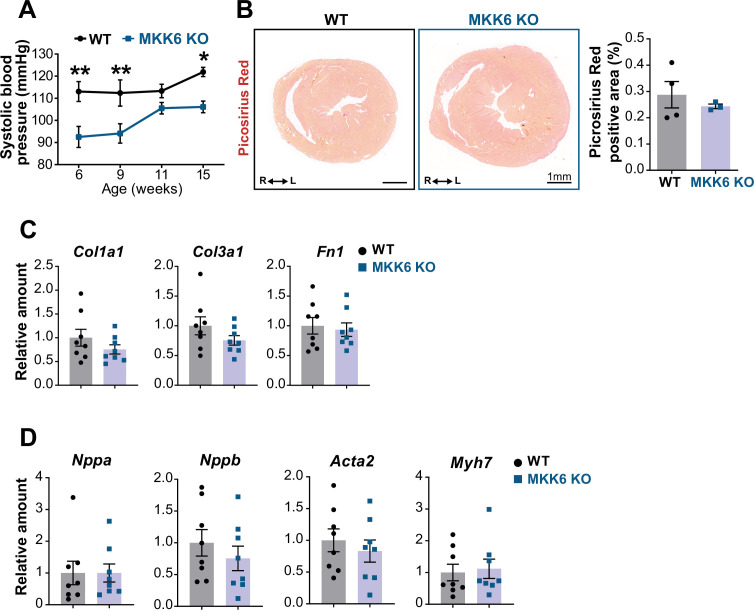 Figure 3—figure supplement 1.