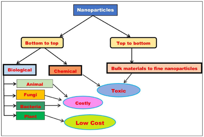 FIGURE 1