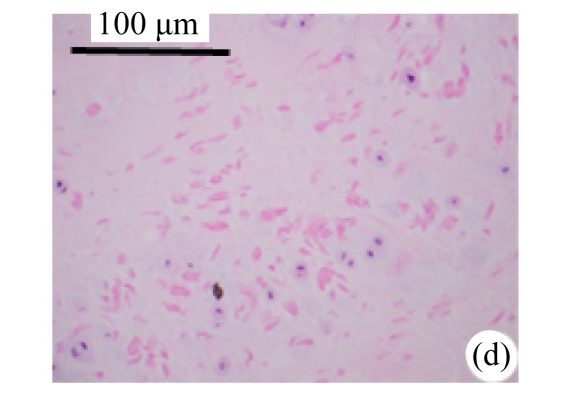 Fig.2