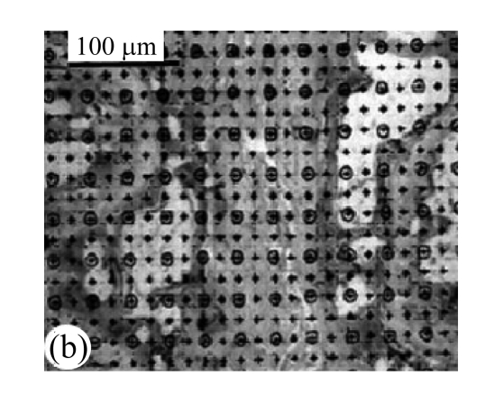 Fig.1