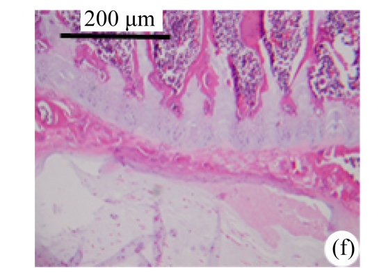 Fig.2