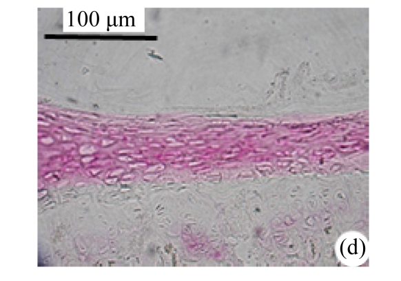 Fig.3