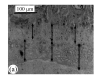Fig.1