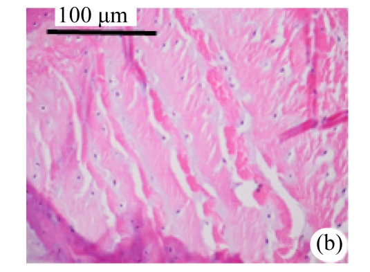 Fig.2